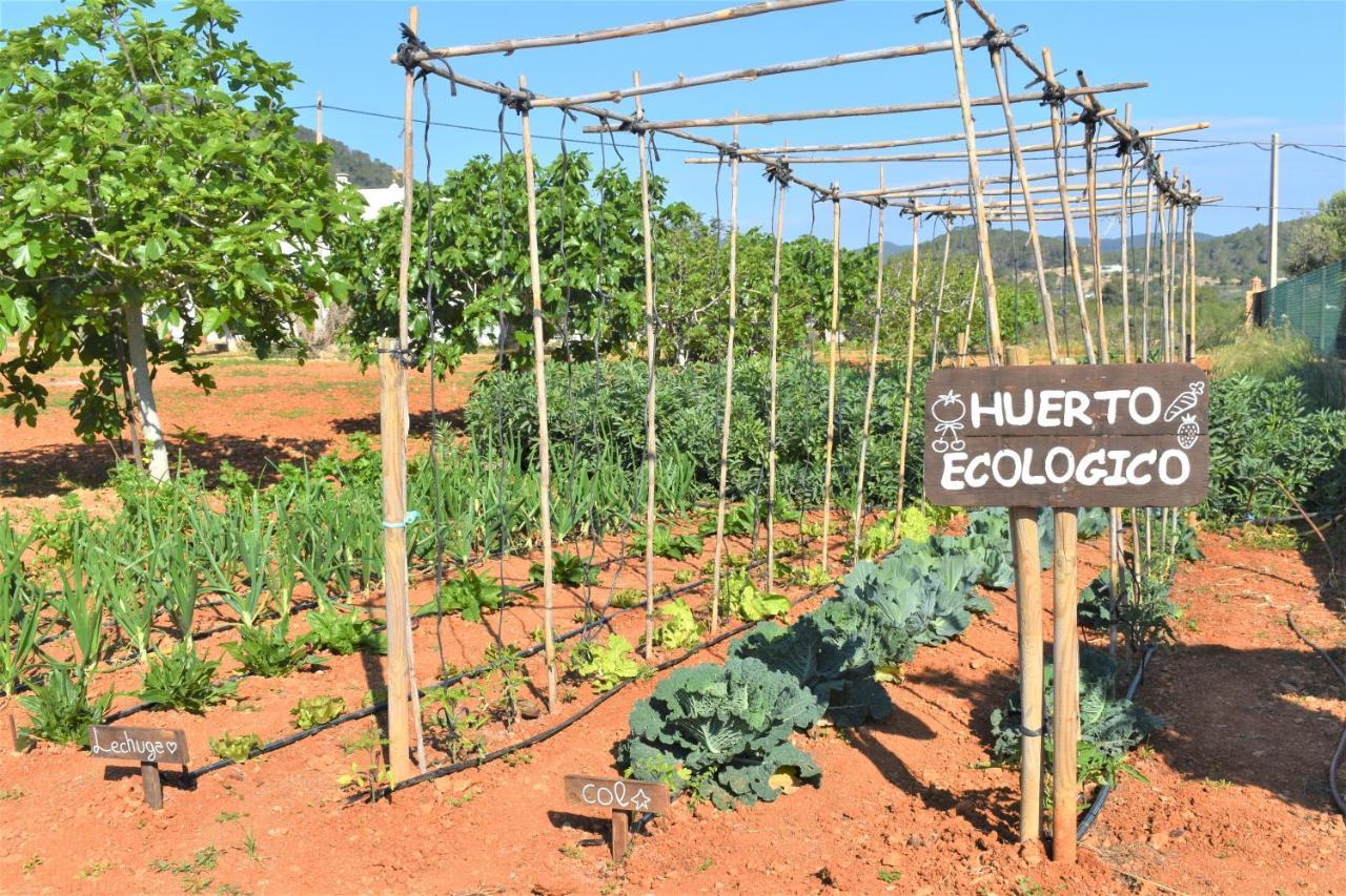 Вілла Agroturismo Sa Marina - Adults Only Cala Boix Екстер'єр фото
